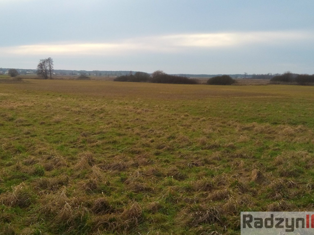 Z Doliny Tyśmienicy