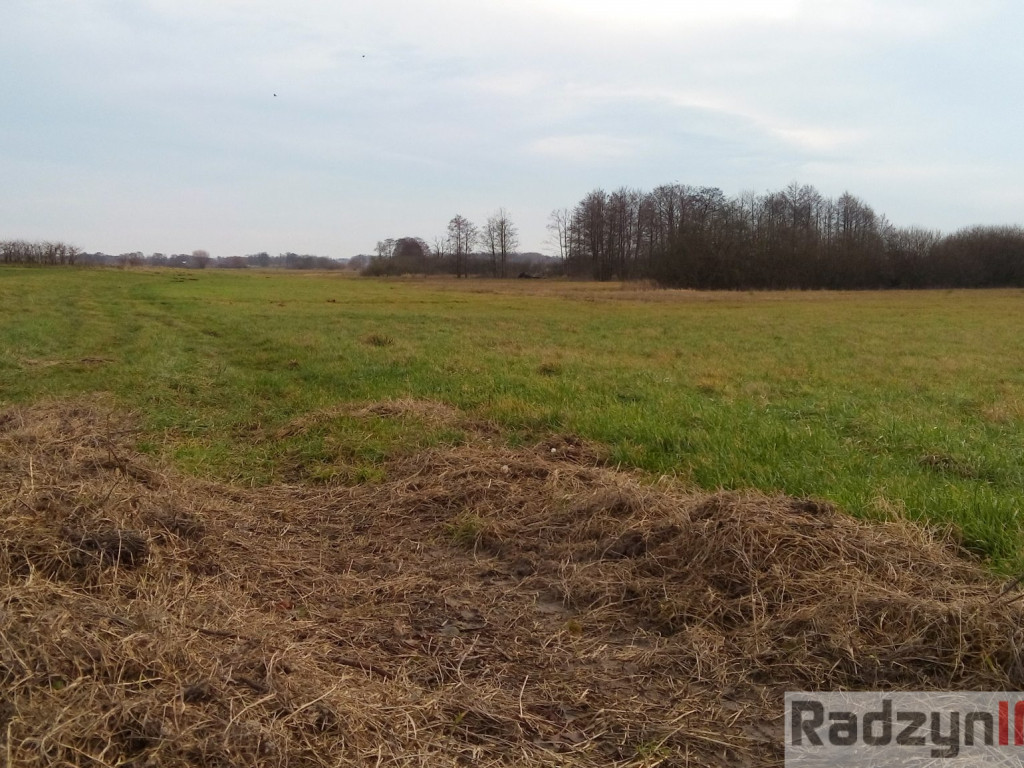 Z Doliny Tyśmienicy