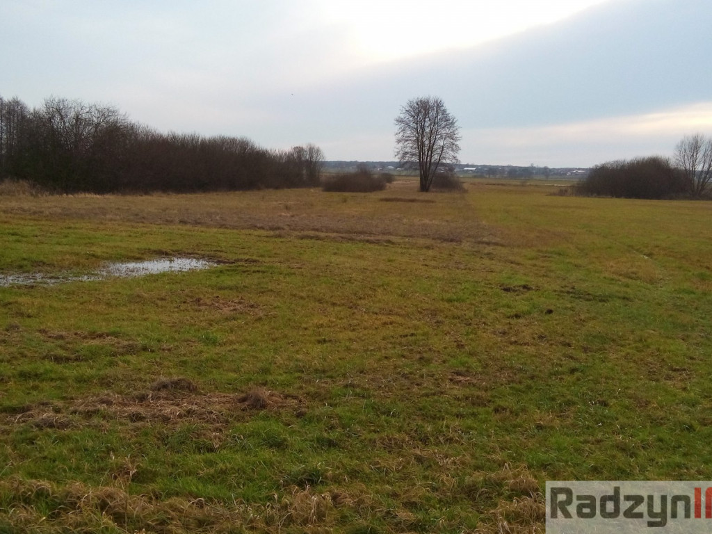 Z Doliny Tyśmienicy