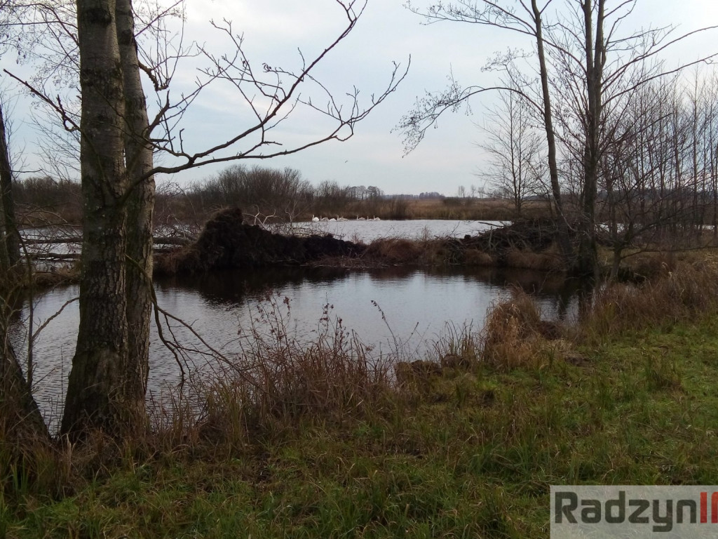 Z Doliny Tyśmienicy