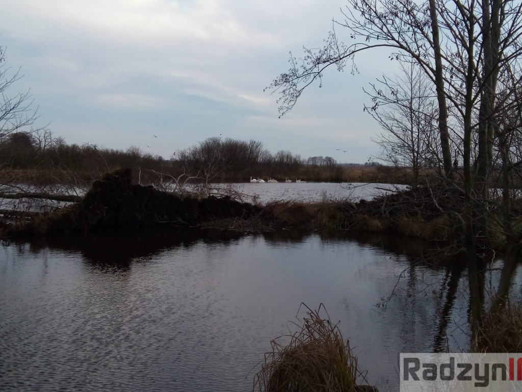 Z Doliny Tyśmienicy