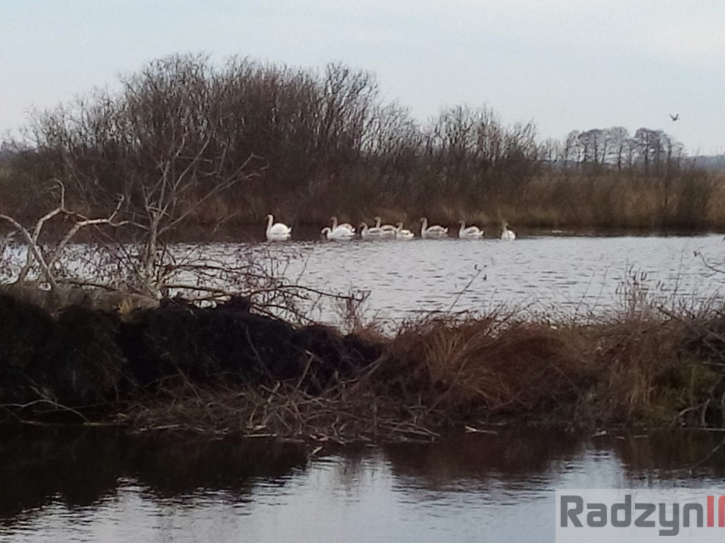 Z Doliny Tyśmienicy