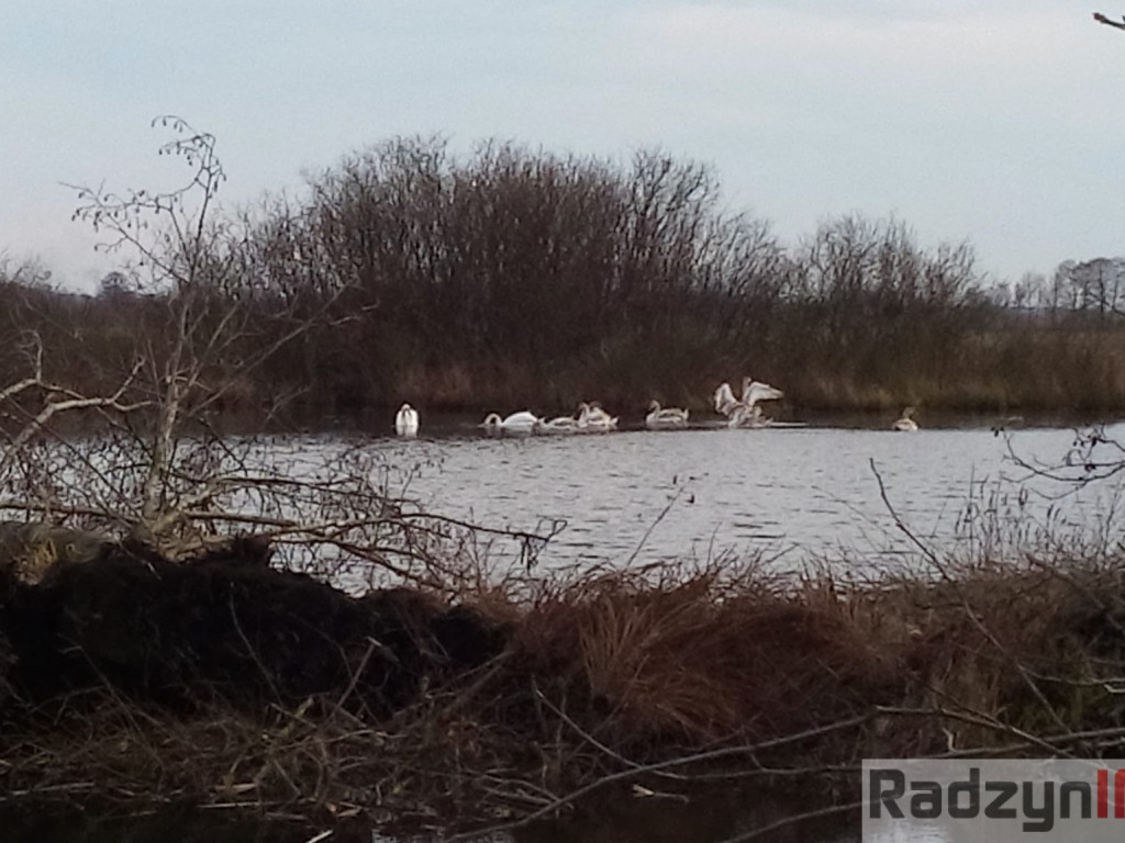 Z Doliny Tyśmienicy