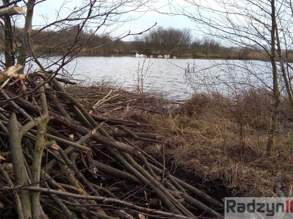 Z Doliny Tyśmienicy