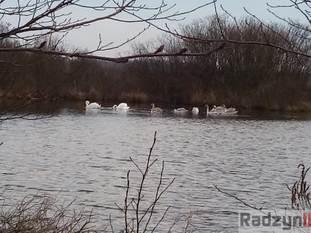 Z Doliny Tyśmienicy