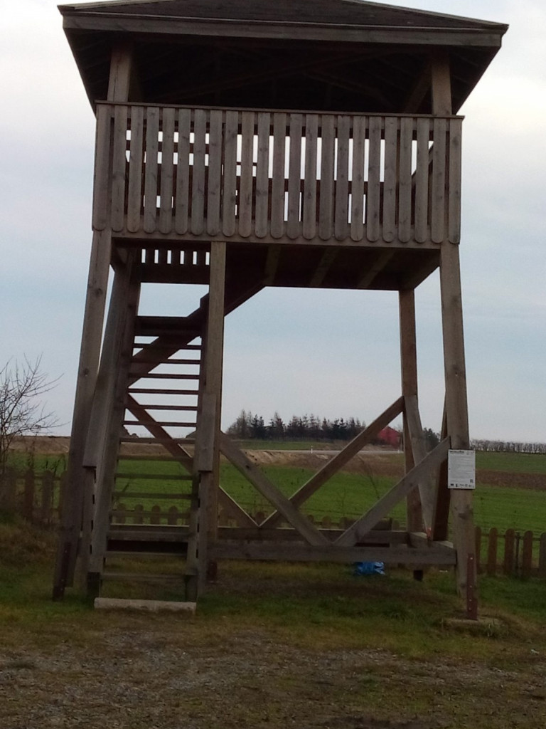 Z Doliny Tyśmienicy