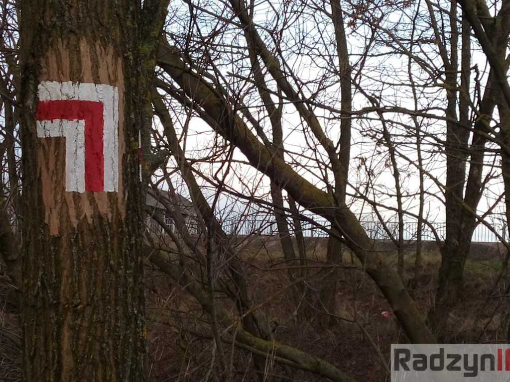 Z Doliny Tyśmienicy