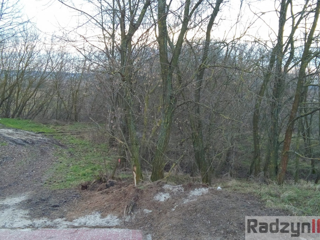 Z Doliny Tyśmienicy