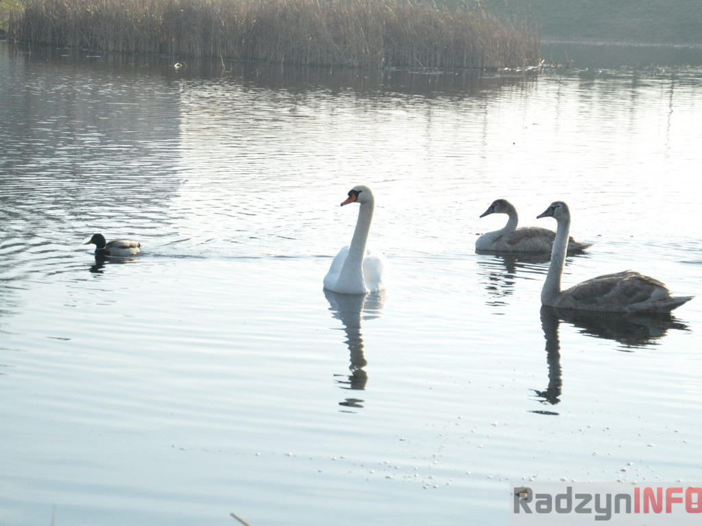 Wiosenny grudzień w obiektywie