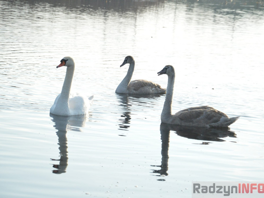 Wiosenny grudzień w obiektywie