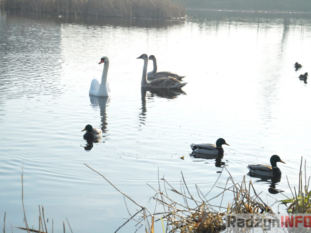 Wiosenny grudzień w obiektywie