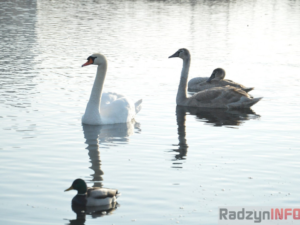 Wiosenny grudzień w obiektywie