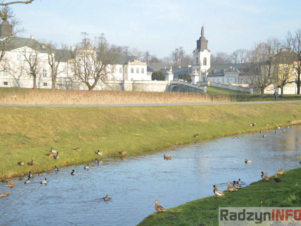 Wiosenny grudzień w obiektywie