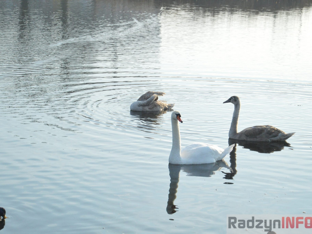 Wiosenny grudzień w obiektywie