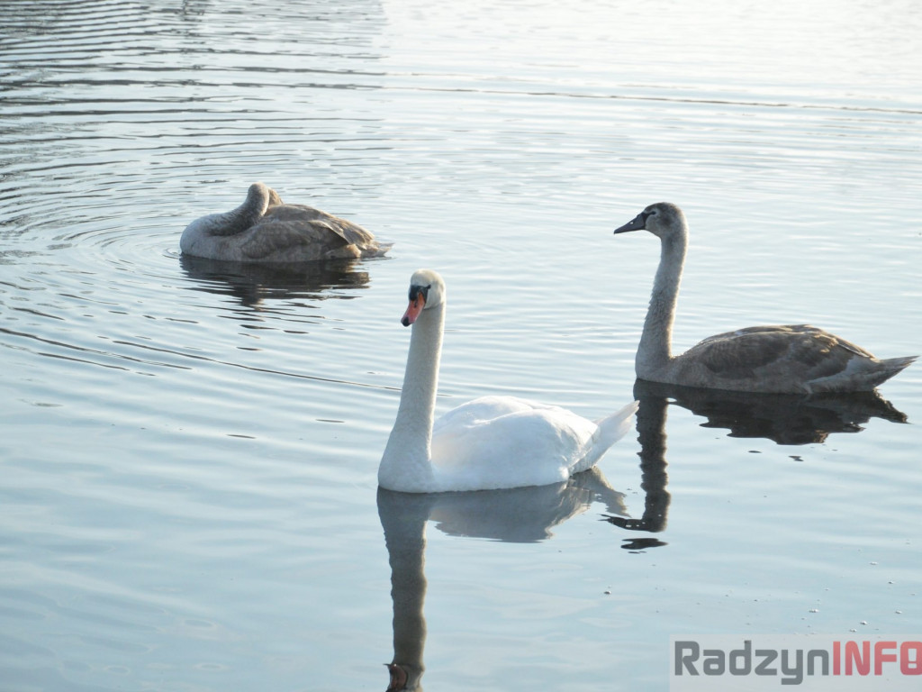 Wiosenny grudzień w obiektywie