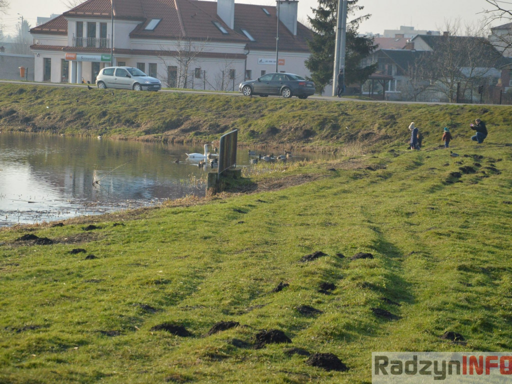 Wiosenny grudzień w obiektywie