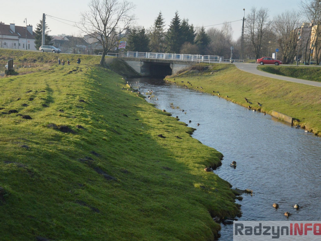Wiosenny grudzień w obiektywie