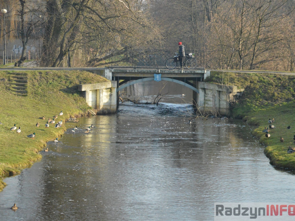 Wiosenny grudzień w obiektywie