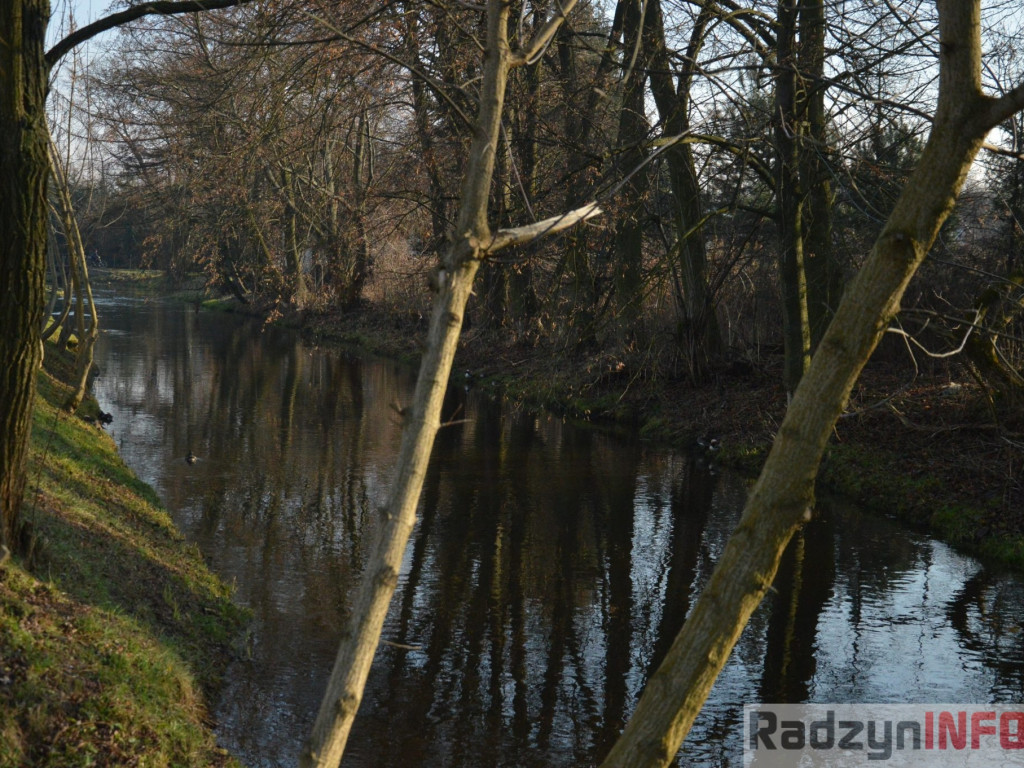 Wiosenny grudzień w obiektywie