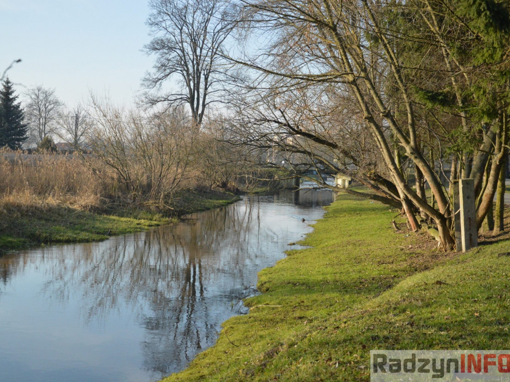 Wiosenny grudzień w obiektywie