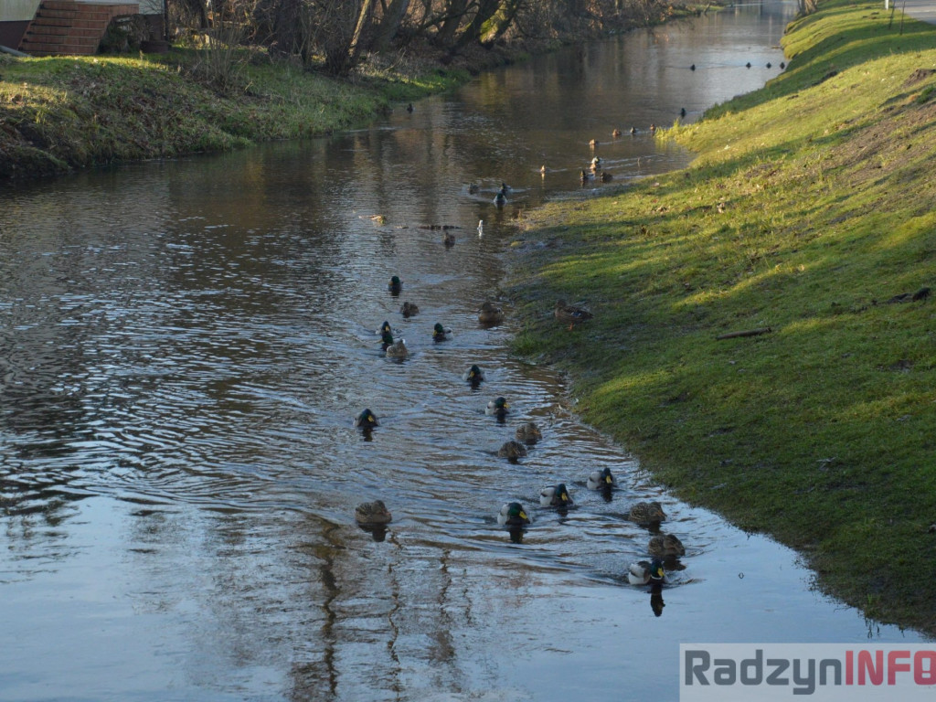Wiosenny grudzień w obiektywie