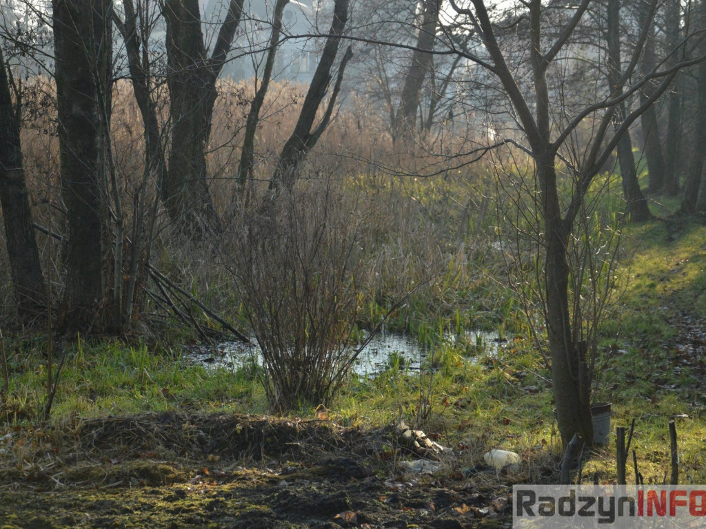Wiosenny grudzień w obiektywie