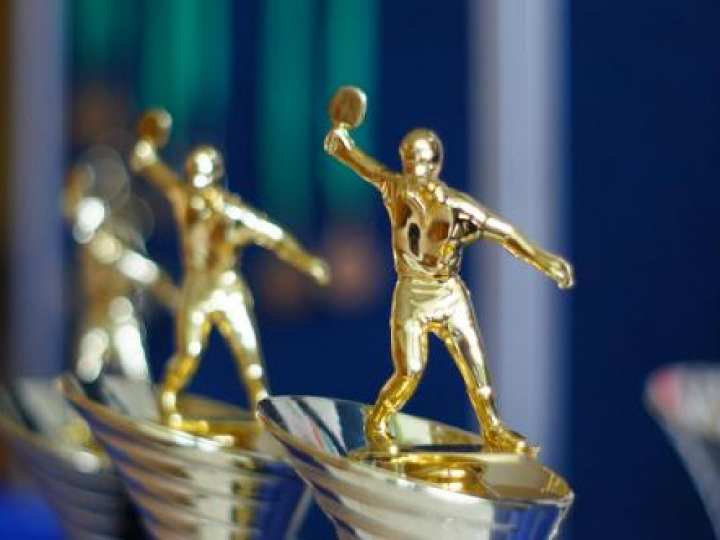 Powiatowy Turniej Tenisa Stołowego - Lisiowólka