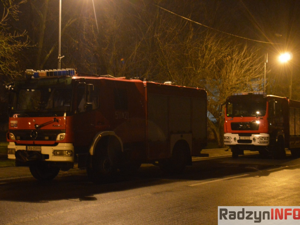 Pokaz sztucznych ogni