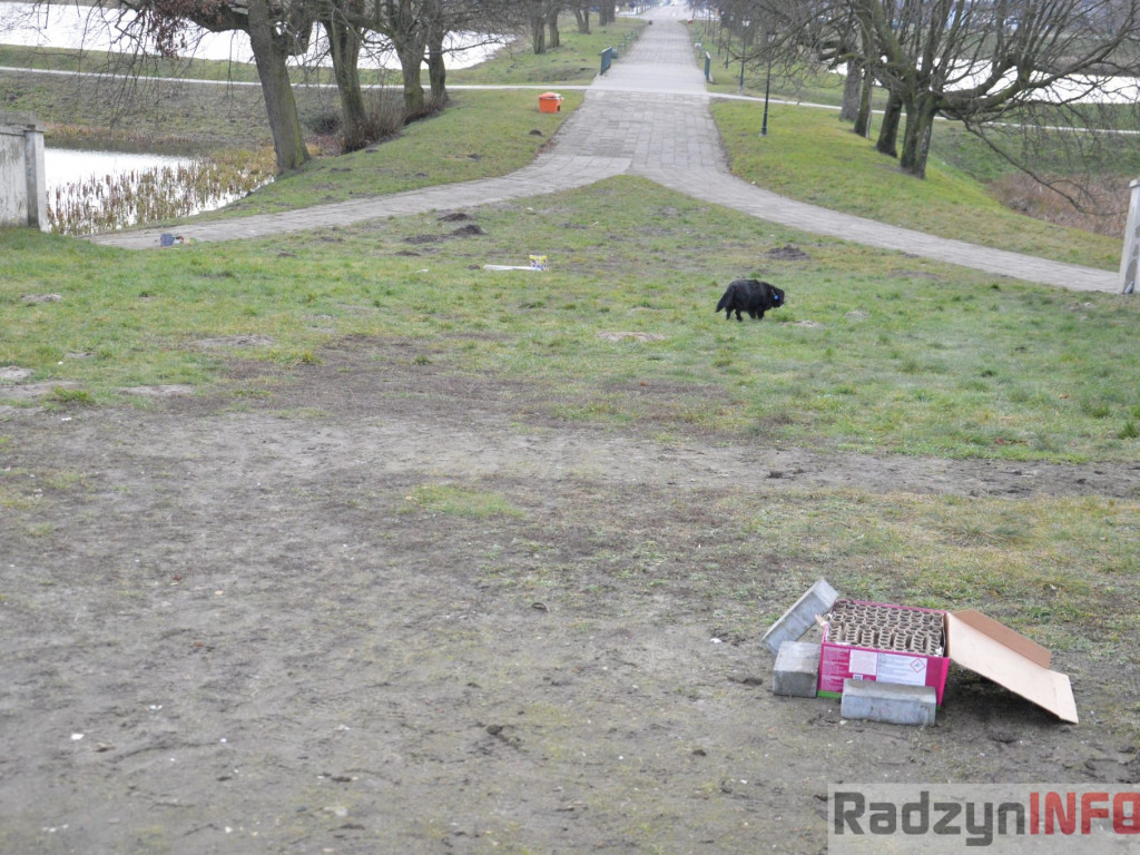 Krajobraz po Sylwestrze