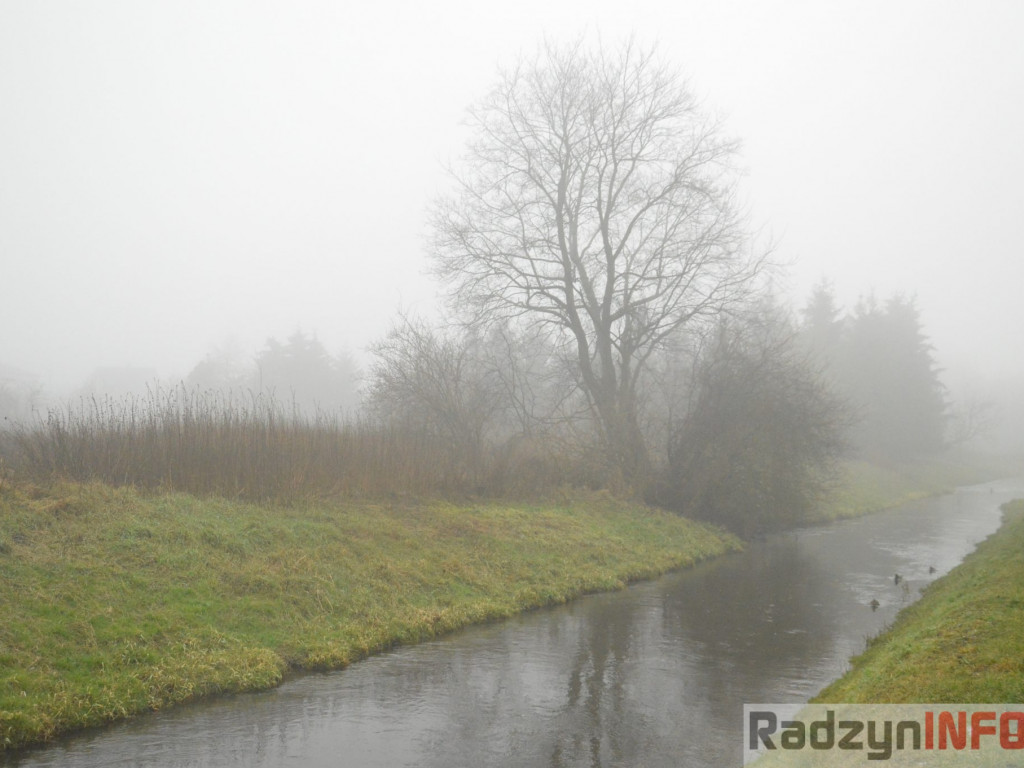 Radzyń we mgle