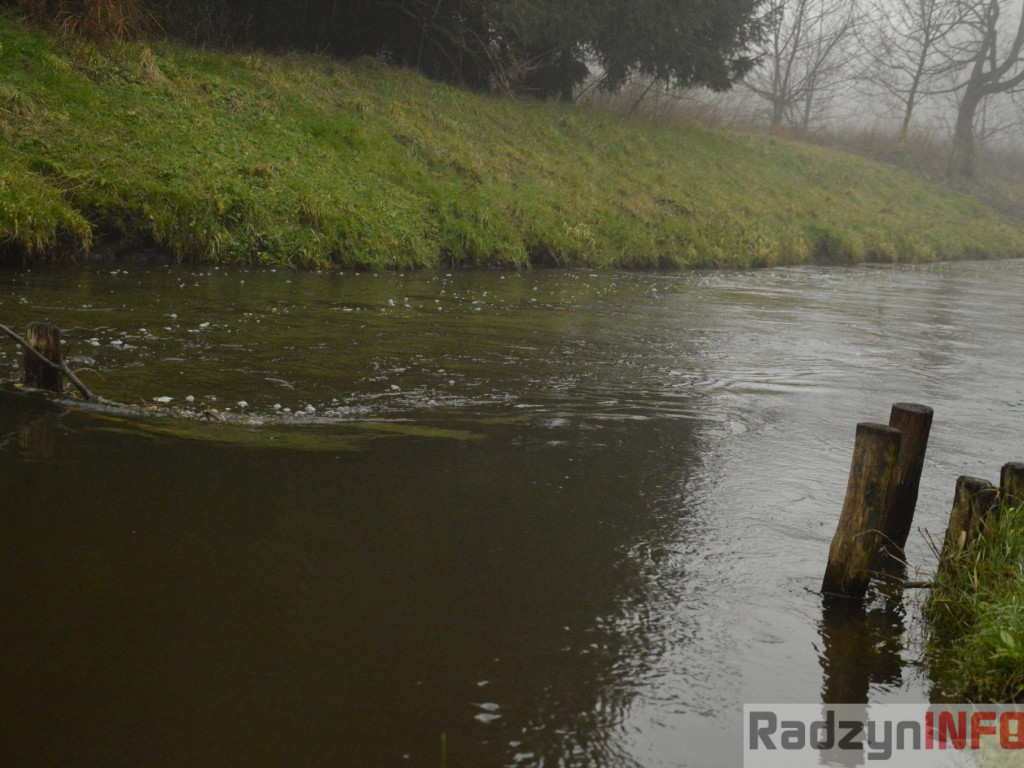 Radzyń we mgle