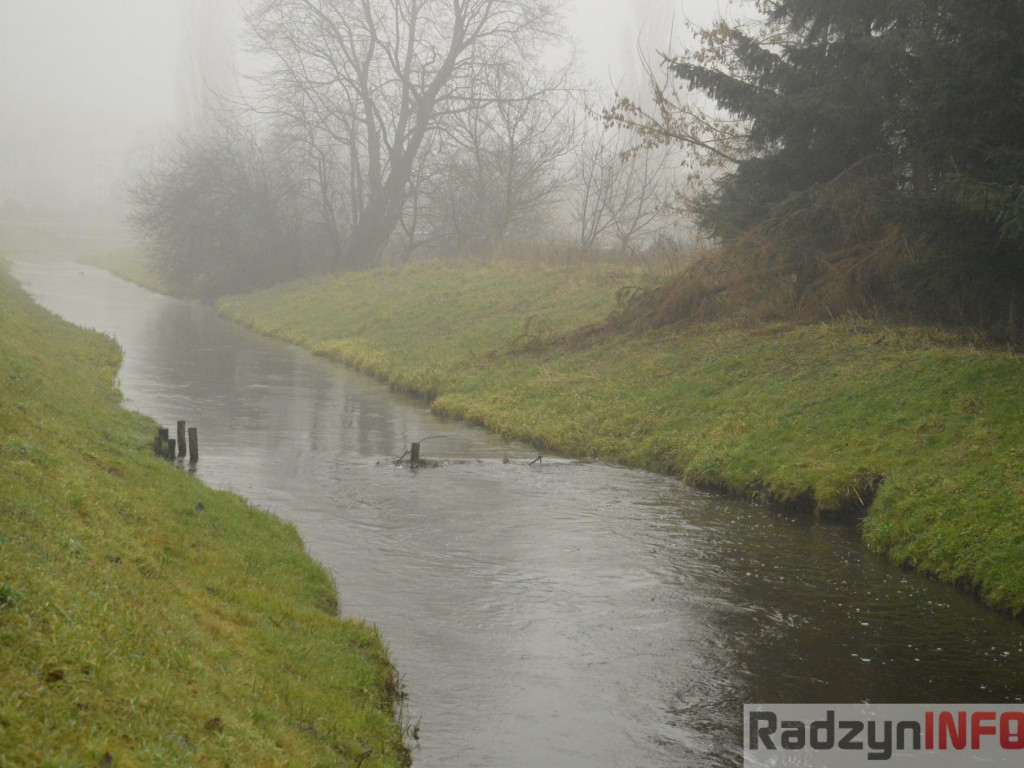 Radzyń we mgle