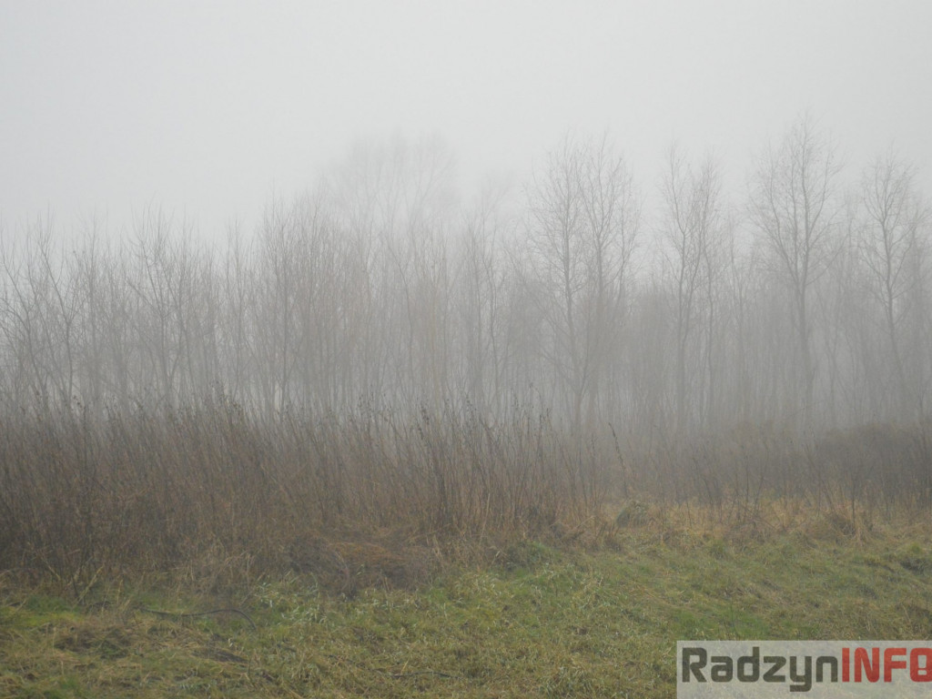 Radzyń we mgle