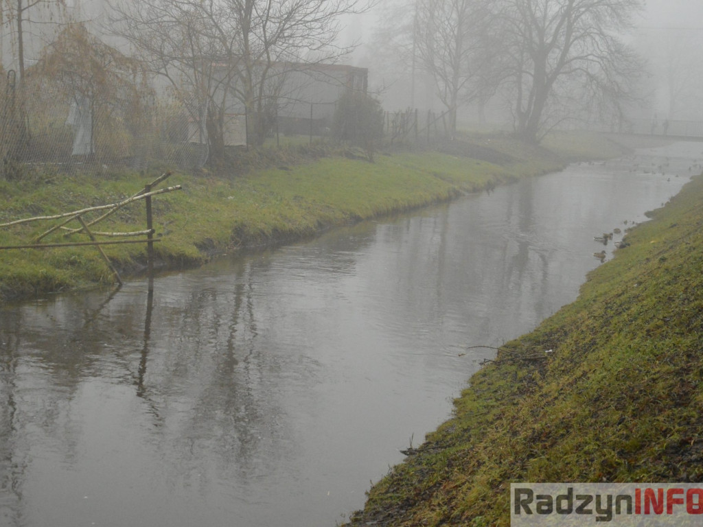Radzyń we mgle