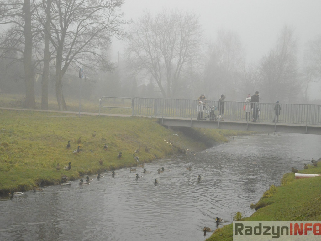 Radzyń we mgle