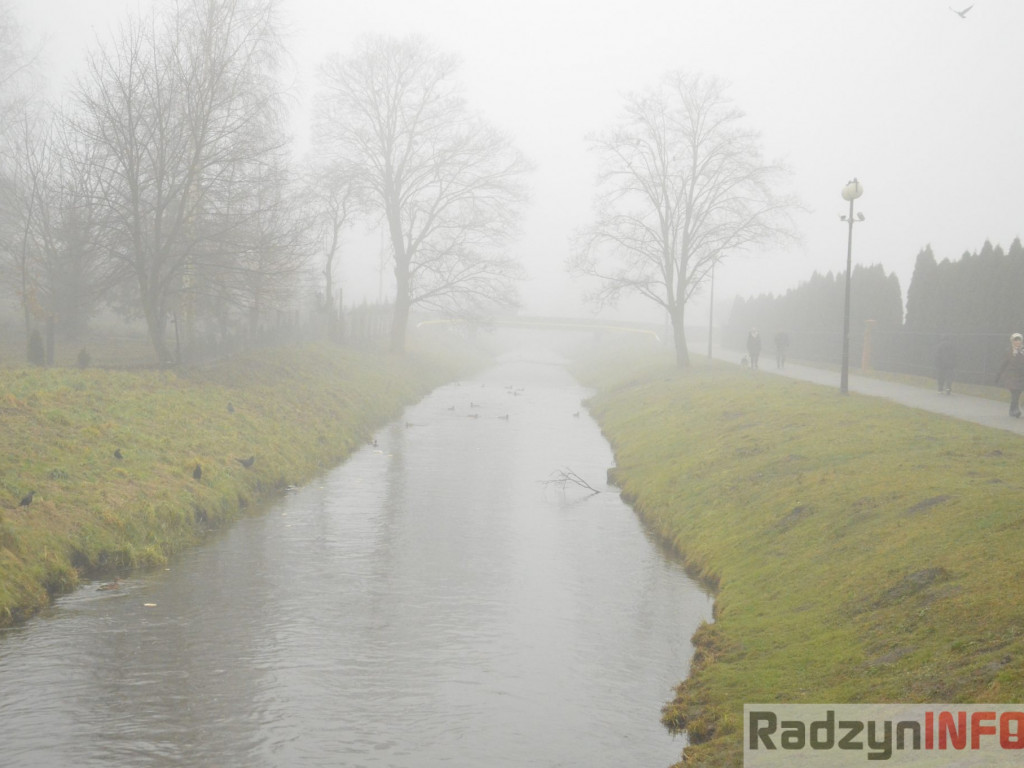 Radzyń we mgle