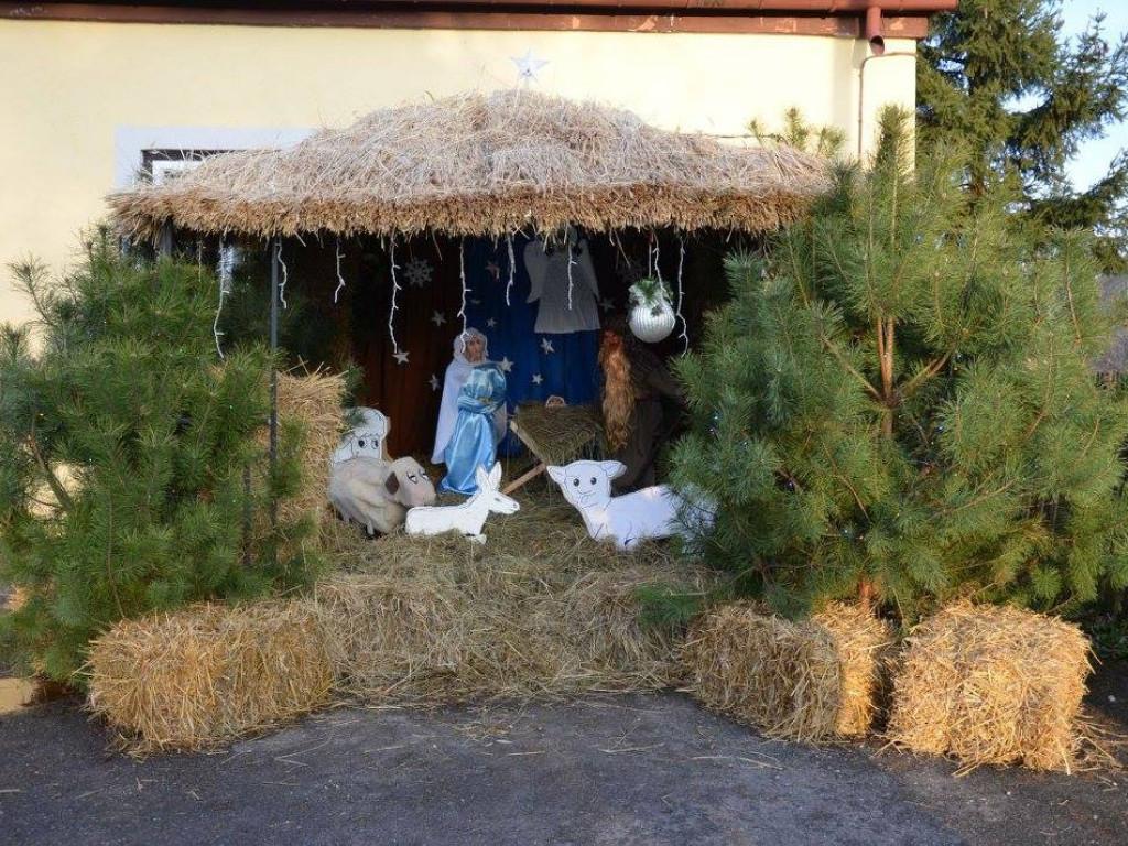 Wspólne kolędowanie w Domaszewnicy
