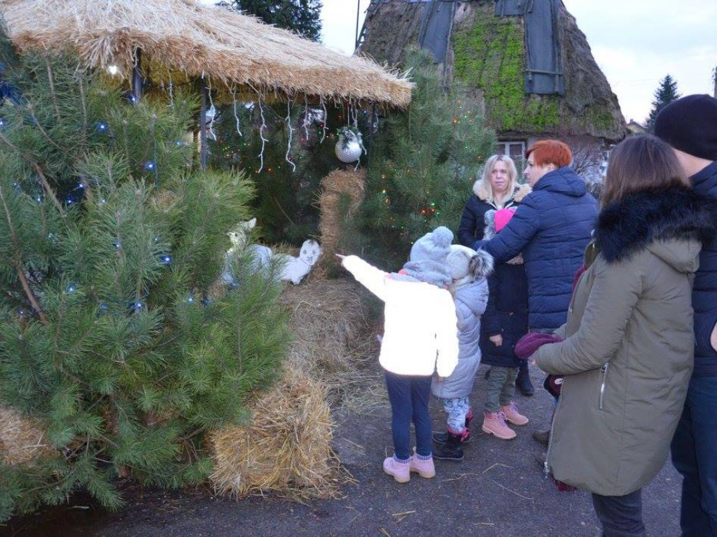 Wspólne kolędowanie w Domaszewnicy