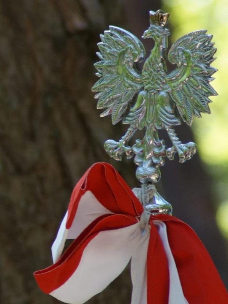 Blizna na twarzy Ojczyzny - uroczystości na Uroczysku 