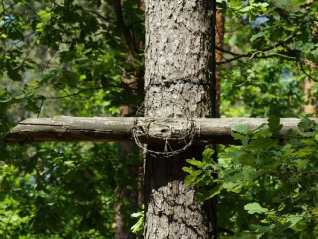 Blizna na twarzy Ojczyzny - uroczystości na Uroczysku 