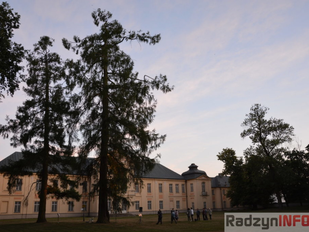 Radzyńskie pomniki przyrody - Konstancja i Stanisław