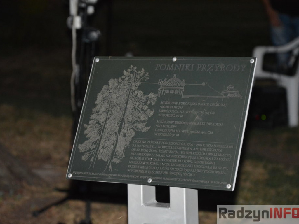 Radzyńskie pomniki przyrody - Konstancja i Stanisław