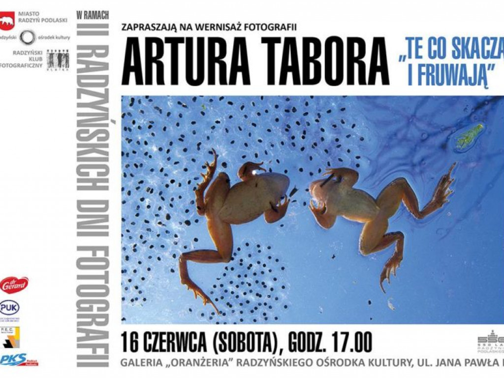 Dni Radzynia, dzień VI