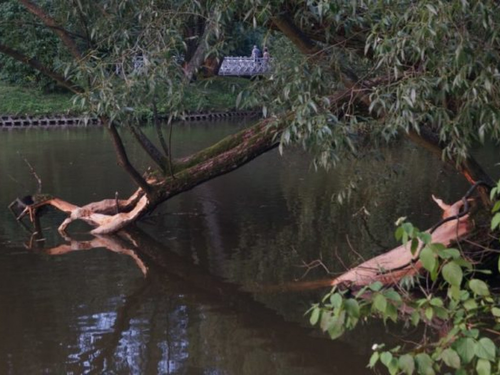 Nałęczów