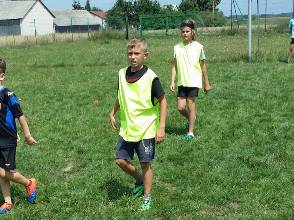 Turniej dzikich drużyn