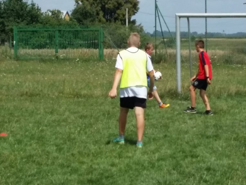 Turniej dzikich drużyn