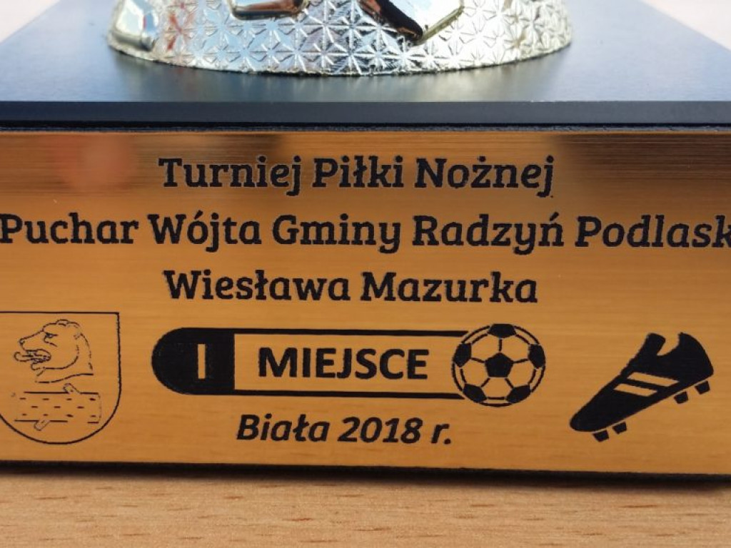 Turniej dzikich drużyn