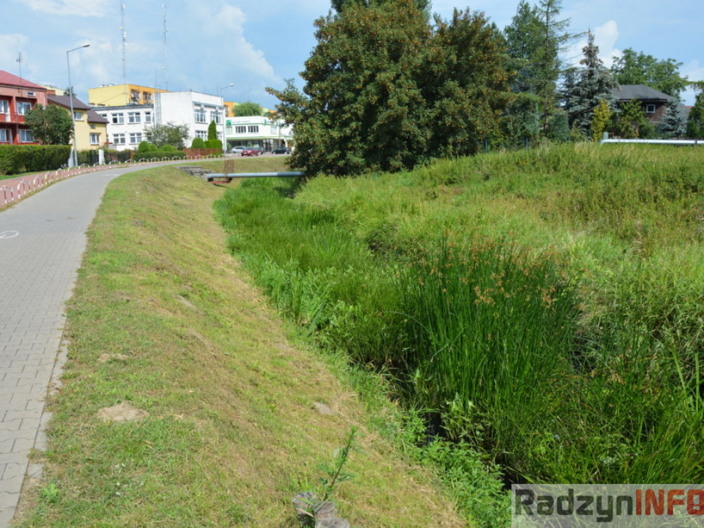 Rzeka Białka zarasta