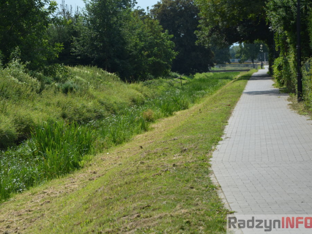 Rzeka Białka zarasta