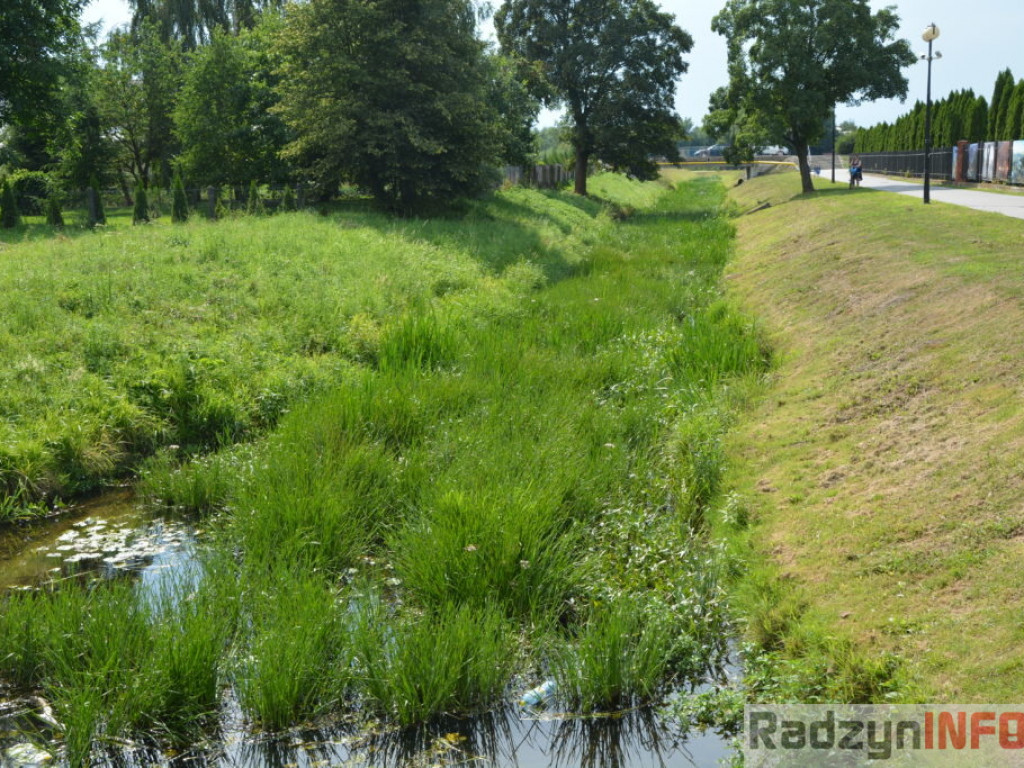 Rzeka Białka zarasta